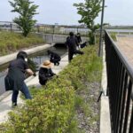 除草活動
